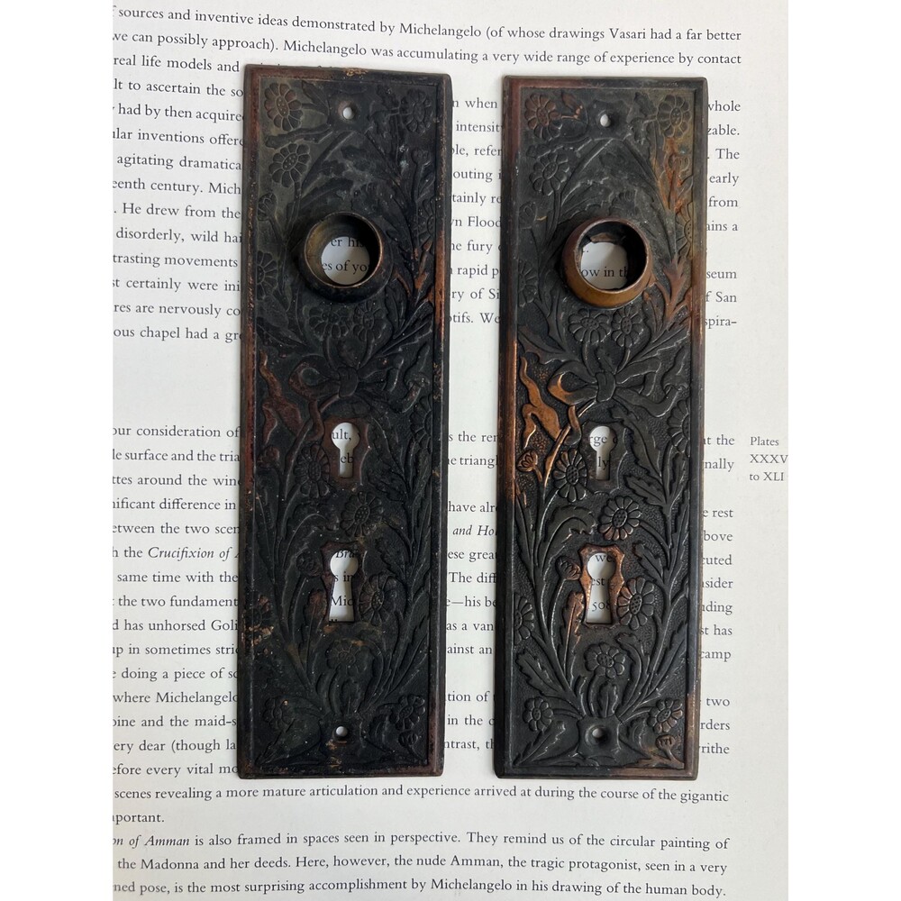 Antique Ornate Brass Door Handle Plate